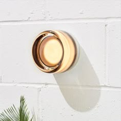 a white brick wall with a round light fixture on it's side and a palm tree in the foreground