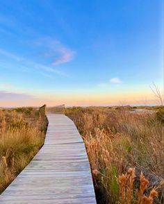 a wooden walkway in the middle of a field with tall grass and grasses on both sides