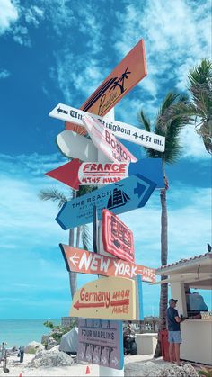 a bunch of signs that are on the side of a road near the ocean and palm trees