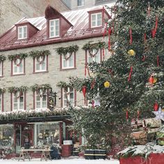 a large building covered in snow next to a tree with decorations hanging from it's roof