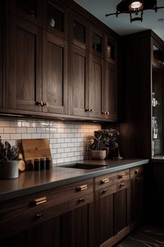 a kitchen with dark wood cabinets and white subway tile backsplash, potted plants on the counter