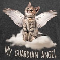 a cat that is sitting on top of a cloud with wings in the sky and says, my guardian angel