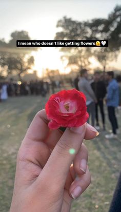 someone holding a flower in their hand with the words i mean who doesn't like getting flowers