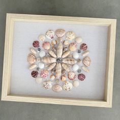 there is a framed picture with shells in the center and one shell on the bottom