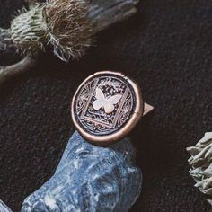 a ring sitting on top of a rock next to other rocks and plants in the background