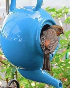 a bird that is sitting inside of a blue teapot