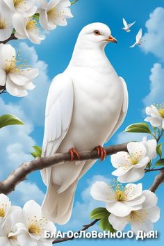 a white bird sitting on top of a tree branch with flowers in the foreground