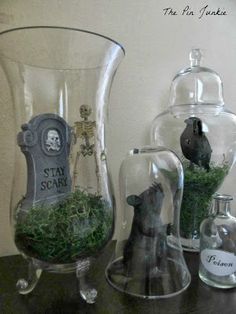 three glass vases with plants in them sitting on a table next to each other