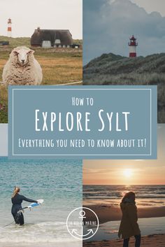 the words how to explore syt everything you need to know about it