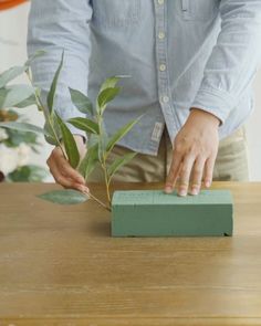 a person is placing leaves on a plant in a container with a green block attached to it