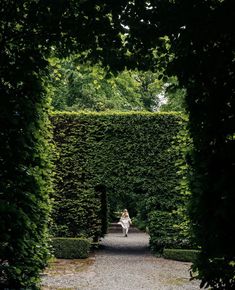 a woman in white dress walking down a path between two large hedges with trees on either side