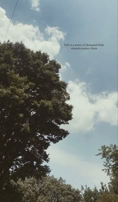 a person flying a kite high up in the sky above some trees and bushes on a sunny day