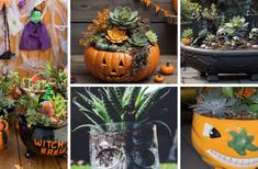 halloween decorations and pumpkins are featured in this collage