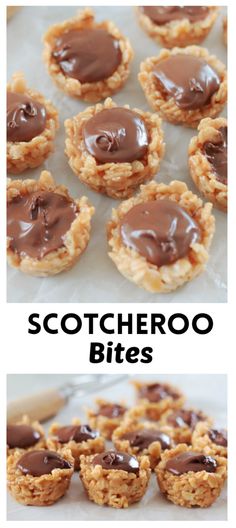 some cookies with chocolate frosting on them and the words, scooterroo bites