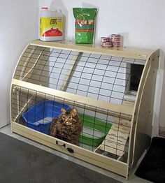 a cat sitting inside of a cage on top of a shelf