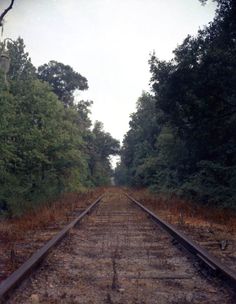 an old train track in the middle of some trees and bushes on either side of it