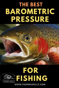 the best barometerric pressure for fishing is shown in this poster with an image of a fish