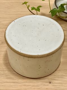 a white bowl sitting on top of a wooden table next to a potted plant