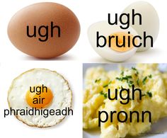 four different types of eggs and their names