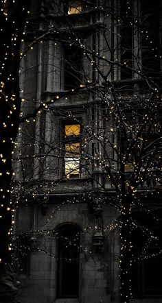 an old building is lit up with christmas lights