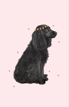 a black dog sitting on top of a pink background with gold stars around its neck