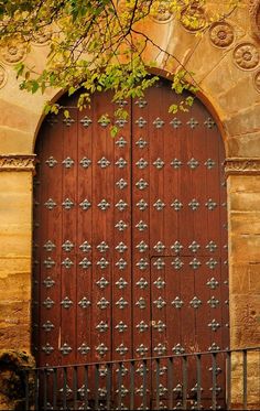 an old wooden door with iron bars on the front and side, surrounded by trees