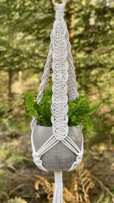 a potted plant hanging from a rope in front of some trees and grass on the ground