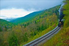 a train traveling through a lush green hillside covered in forest next to tall trees and mountains