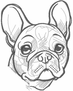 a drawing of a dog's face