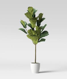 a potted plant with green leaves in it