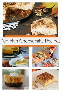 pumpkin cheesecake recipes collage with text overlay that reads pumpkin cheesecake recipes