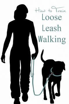 the silhouette of a person walking with a dog on a leash and text how to train loose leashes for leashing