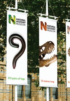 three banners hanging from poles in front of a building with dinosaurs and snakes on them