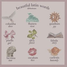 the beautiful latin words poster is shown in pink and white with an image of a woman's face