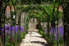 an archway in the middle of a garden filled with purple flowers