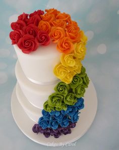 there is a multi - colored cake with roses on it