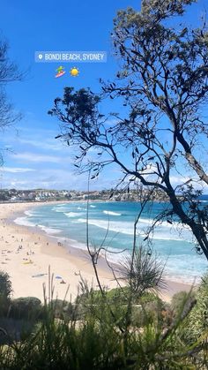 the beach is crowded with people and trees on a sunny day in sydney, australia