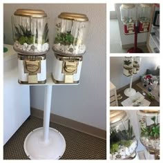 there are many different pictures of plants in jars on the table and below them is an image of two glass jars filled with rocks