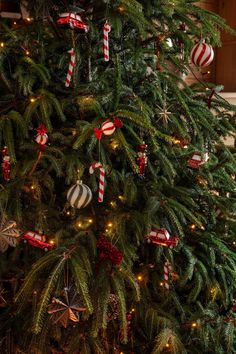 the christmas tree is decorated with candy canes