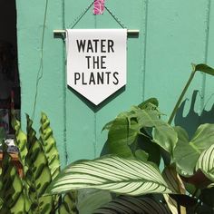 a sign that says water the plants hanging on a green wall next to potted plants