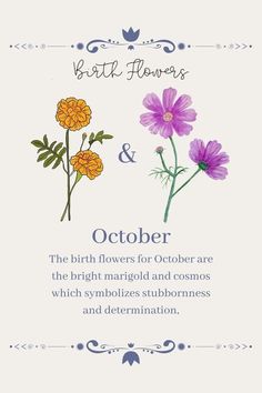 the birth flowers and their meanings