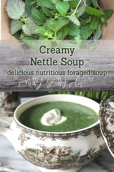 creamy nettle soup with delicious nutritious ferments is the perfect way to start your day