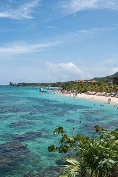 people are swimming in the clear blue water