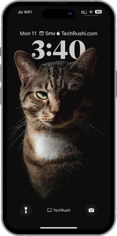 a cat is shown on the screen of an iphone