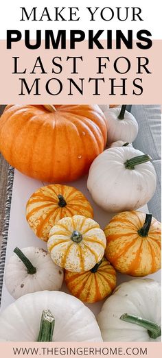 pumpkins and gourds with text overlay that says preserve fall pumpkins