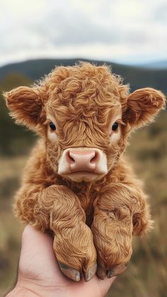 a small brown cow sitting on top of a person's hand in front of a field