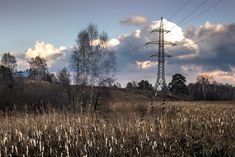 the power lines are high in the sky above the field and trees on the other side