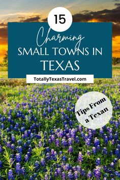 blue flowers with text overlay that reads, charming small towns in texas