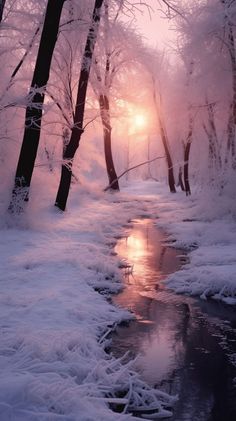 the sun shines through the trees and snow covered ground near a frozen river in winter