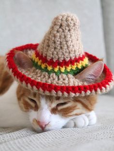 an orange and white cat wearing a crocheted hat on top of it's head